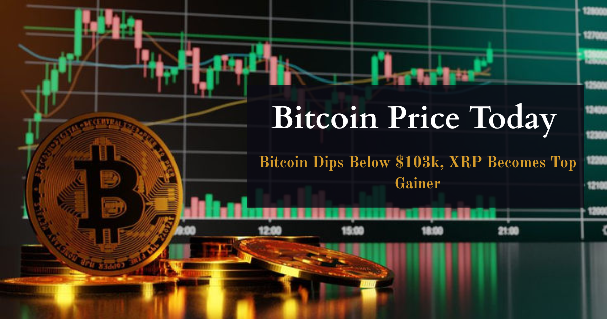 Cryptocurrency Price Today (May 13): Bitcoin Dips Below $103k, XRP Becomes Top Gainer